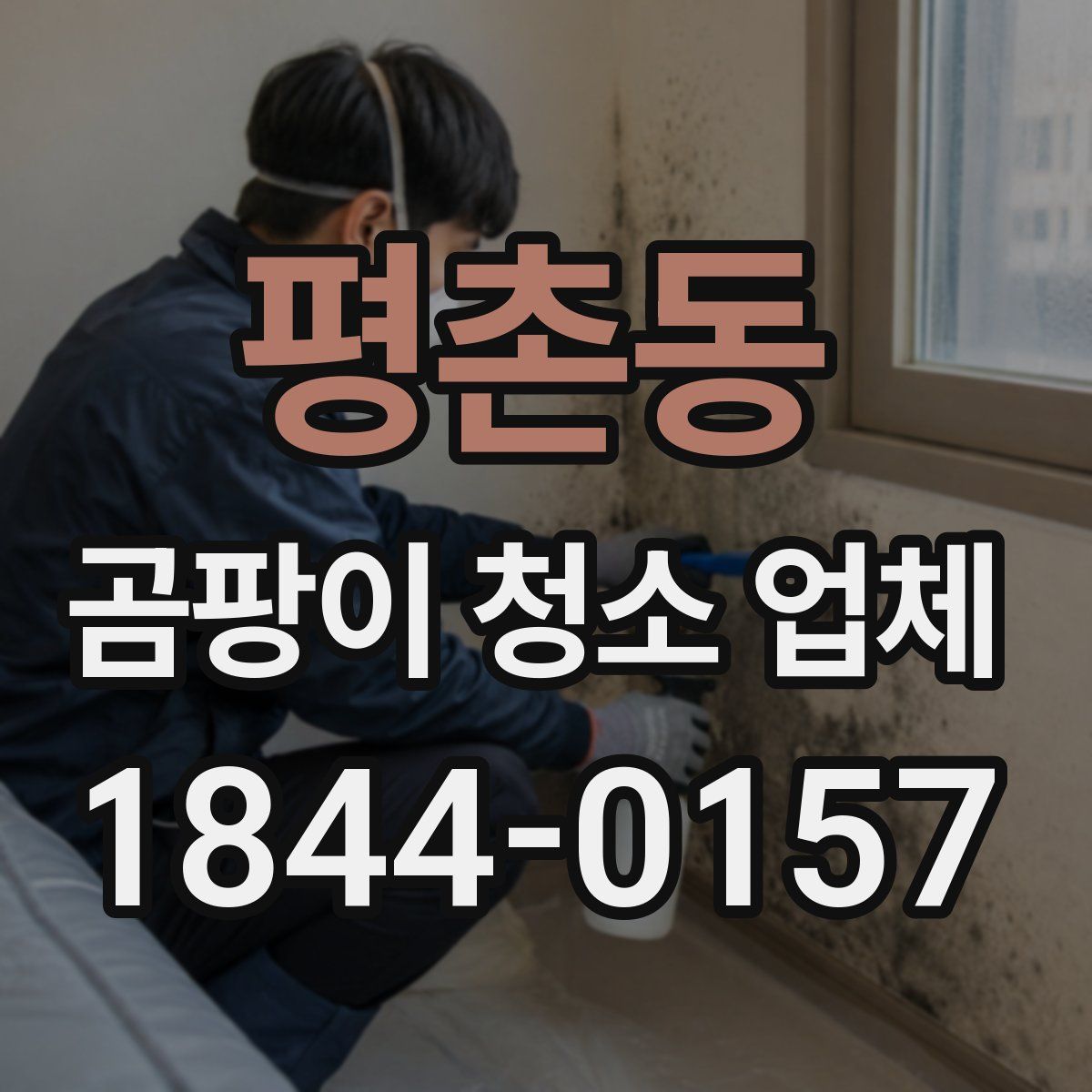 평촌동 곰팡이 청소 업체