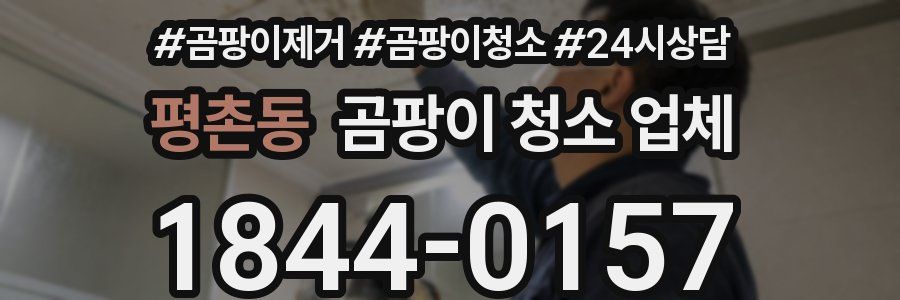 평촌동 곰팡이 청소 업체