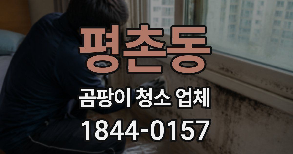 평촌동 곰팡이 청소 업체