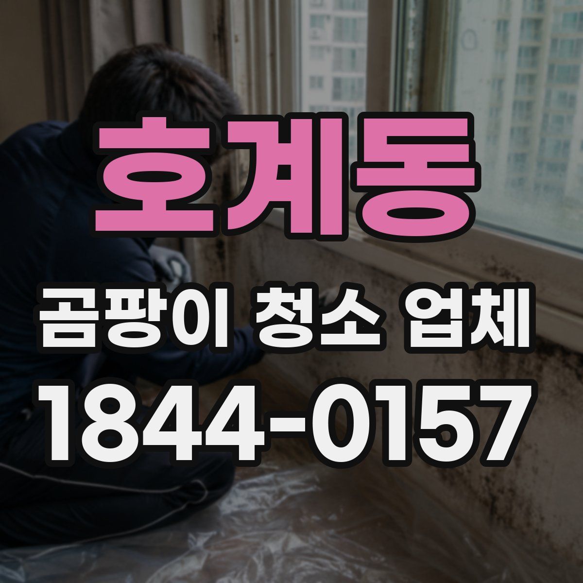 호계동 곰팡이 청소 업체