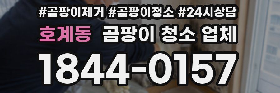 호계동 곰팡이 청소 업체