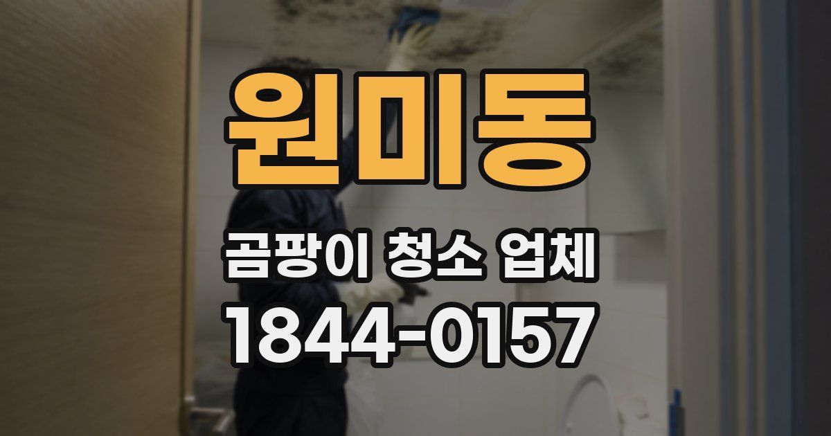 원미동 곰팡이 청소 업체