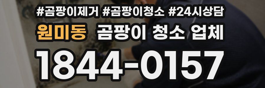 원미동 곰팡이 청소 업체