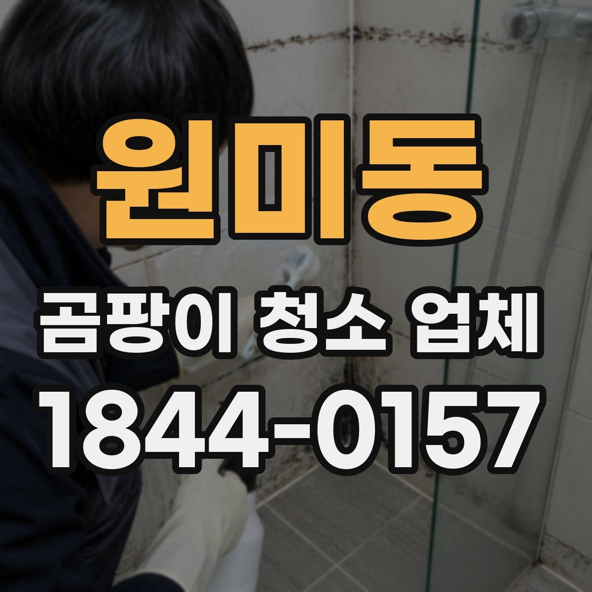 원미동 곰팡이 청소 업체