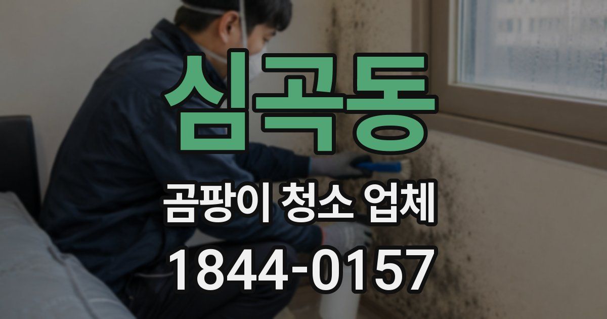 심곡동 곰팡이 청소 업체