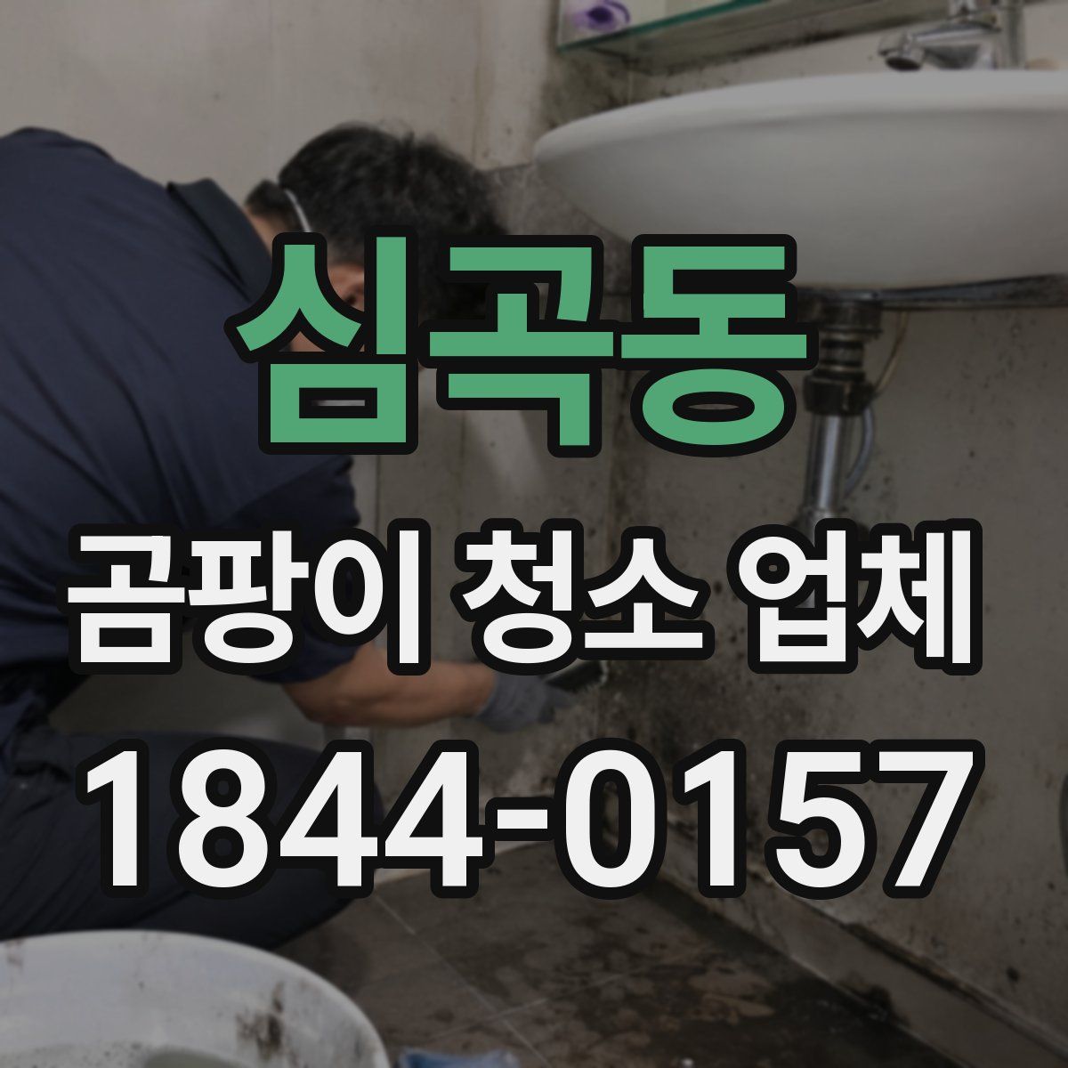 심곡동 곰팡이 청소 업체