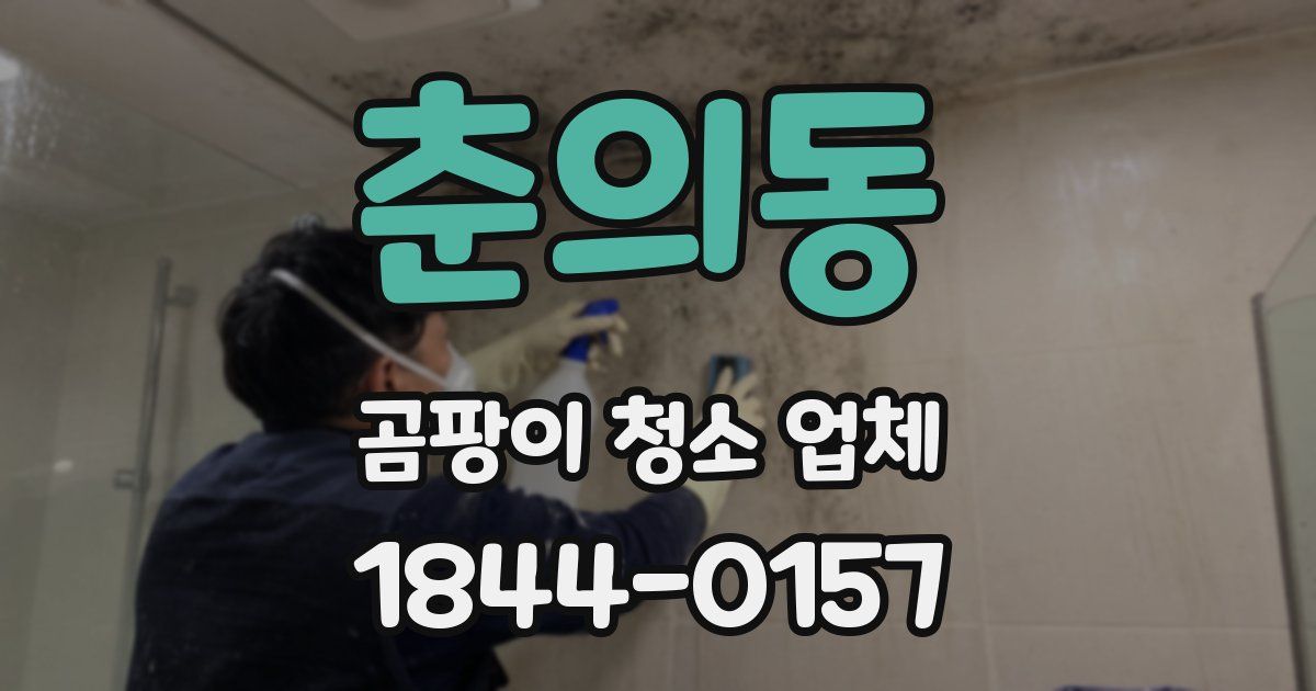춘의동 곰팡이 청소 업체