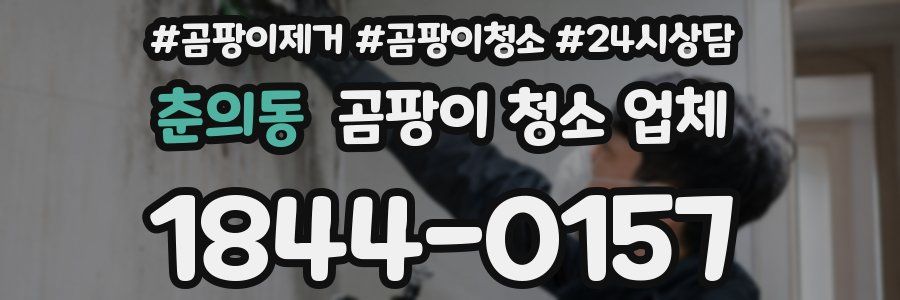 춘의동 곰팡이 청소 업체