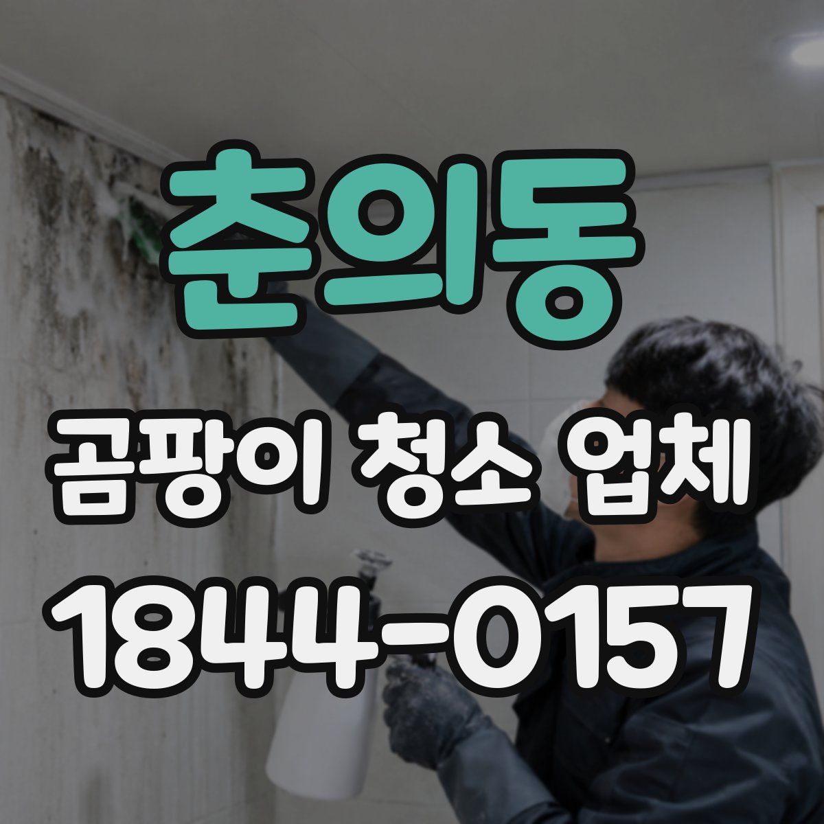춘의동 곰팡이 청소 업체