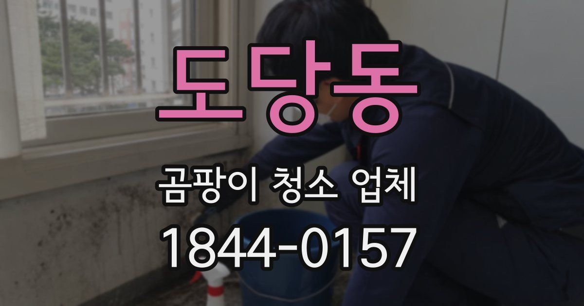 도당동 곰팡이 청소 업체