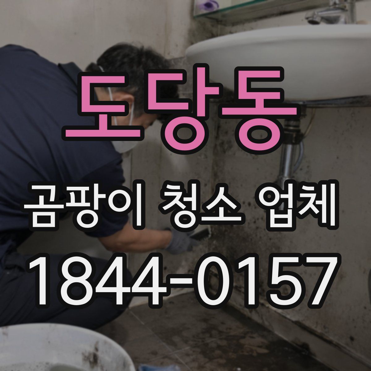 도당동 곰팡이 청소 업체