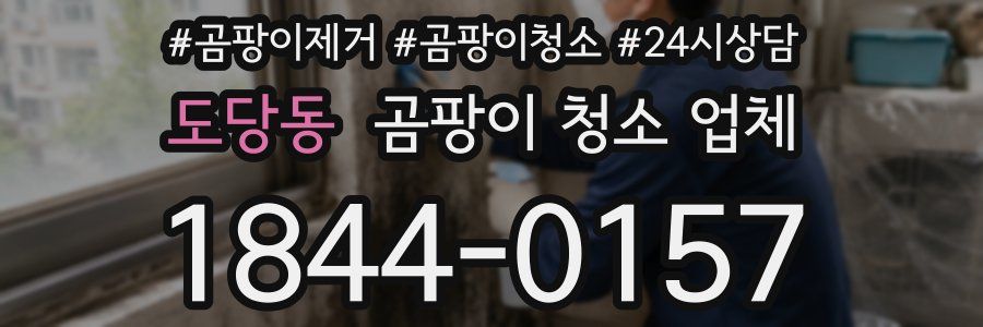 도당동 곰팡이 청소 업체