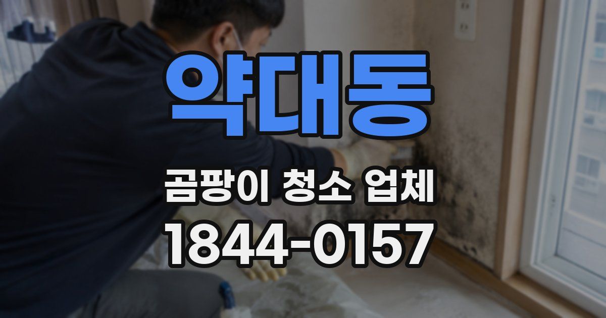 약대동 곰팡이 청소 업체