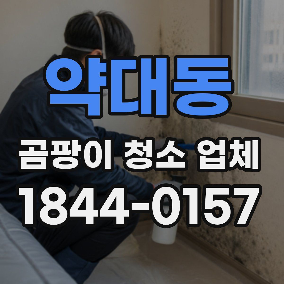 약대동 곰팡이 청소 업체