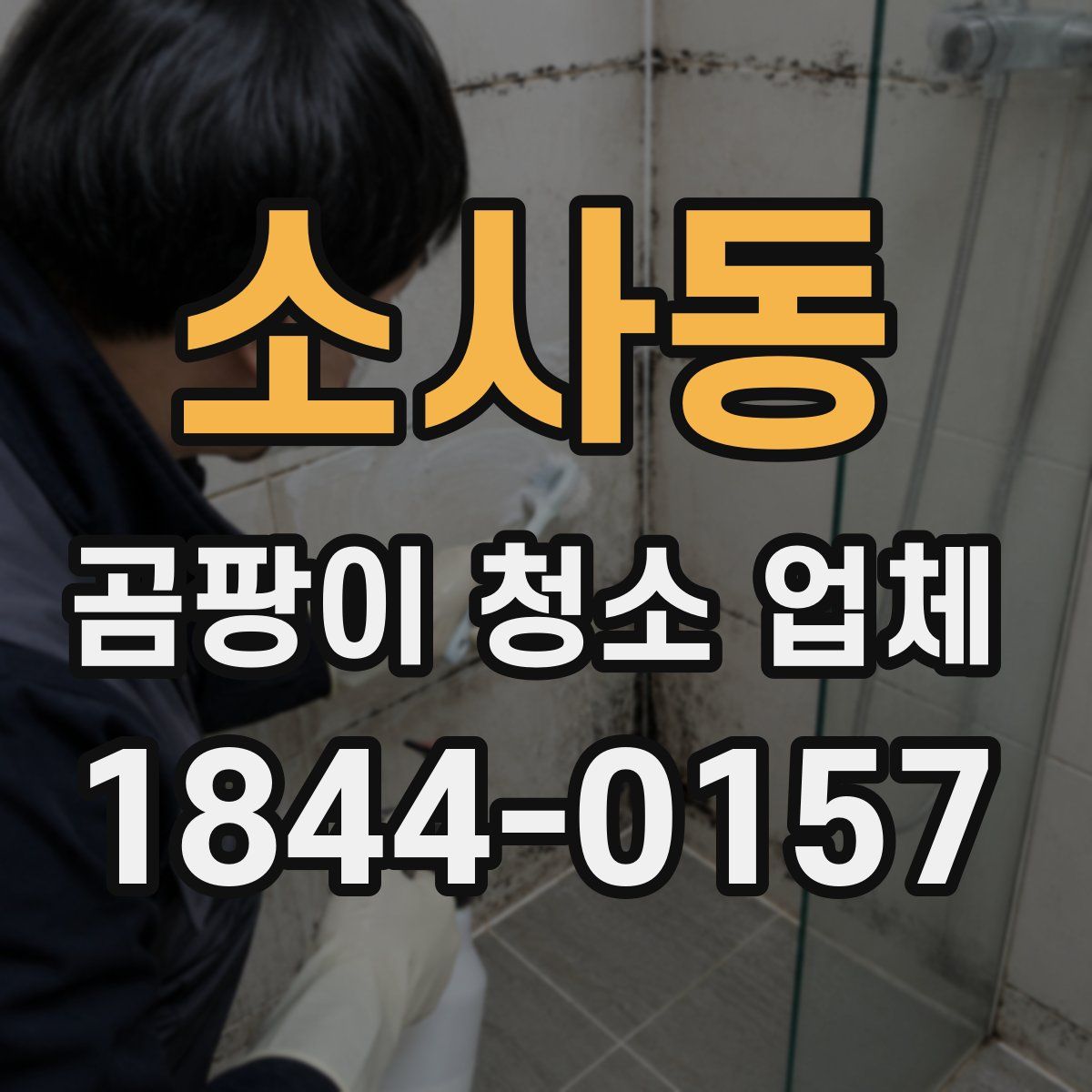 소사동 곰팡이 청소 업체