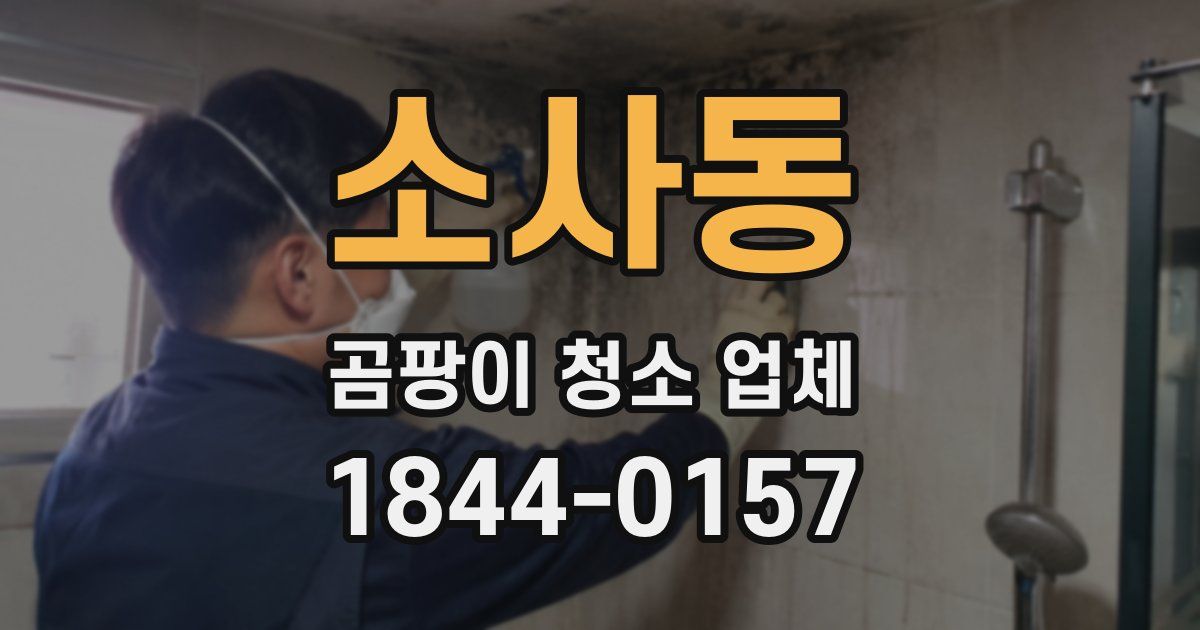 소사동 곰팡이 청소 업체
