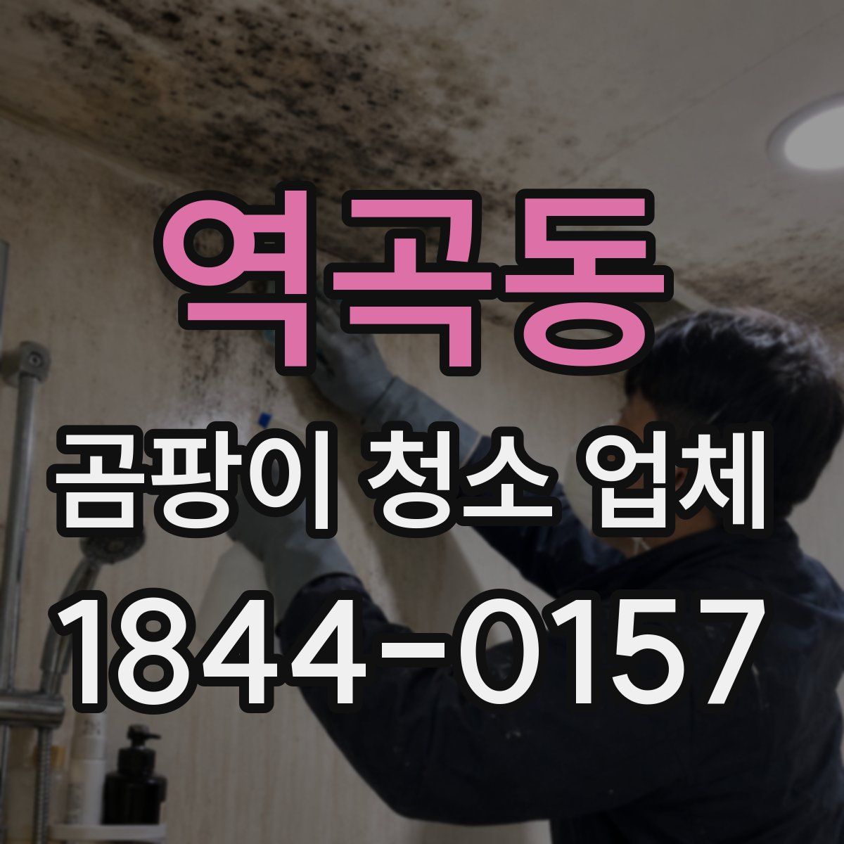 역곡동 곰팡이 청소 업체