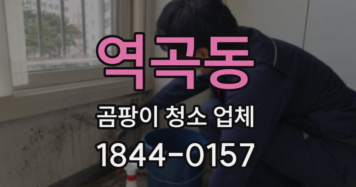 역곡동 곰팡이 청소 업체