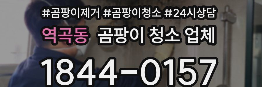 역곡동 곰팡이 청소 업체