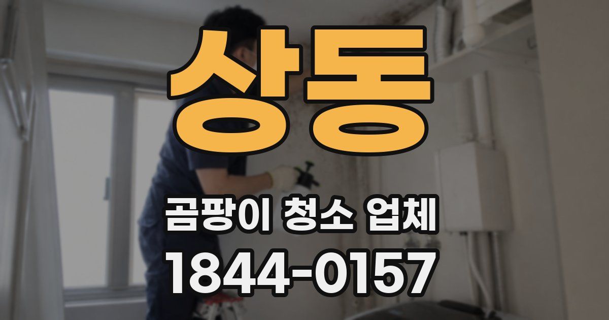 상동 곰팡이 청소 업체