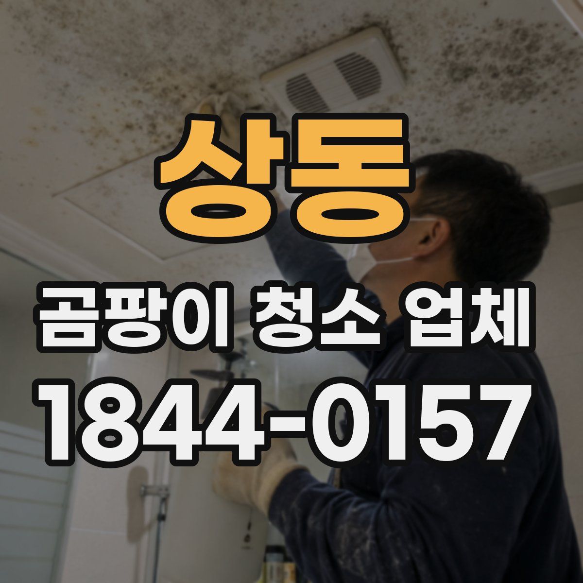 상동 곰팡이 청소 업체
