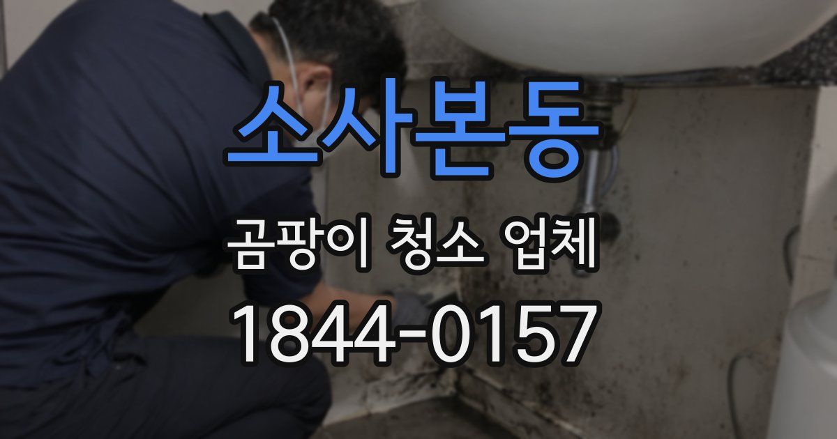 소사본동 곰팡이 청소 업체