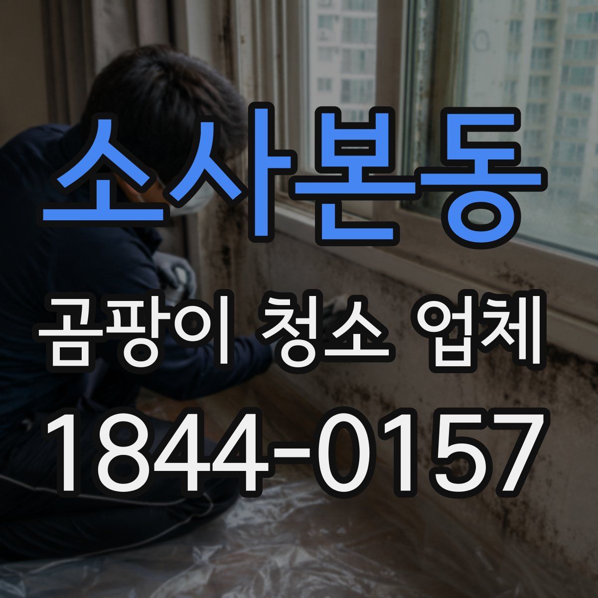 소사본동 곰팡이 청소 업체