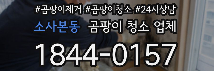 소사본동 곰팡이 청소 업체