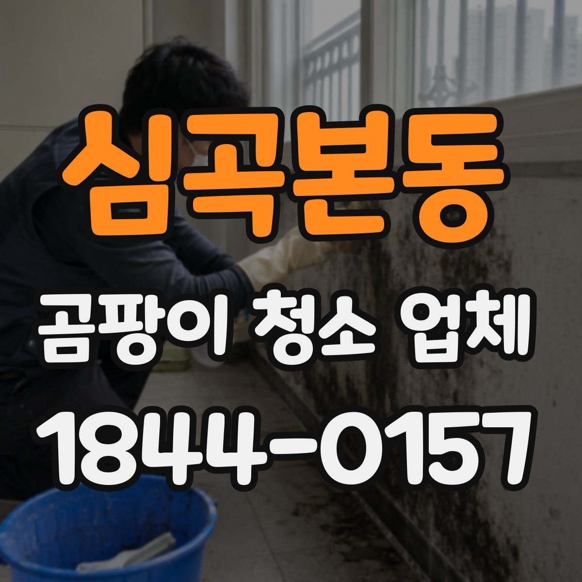 심곡본동 곰팡이 청소 업체