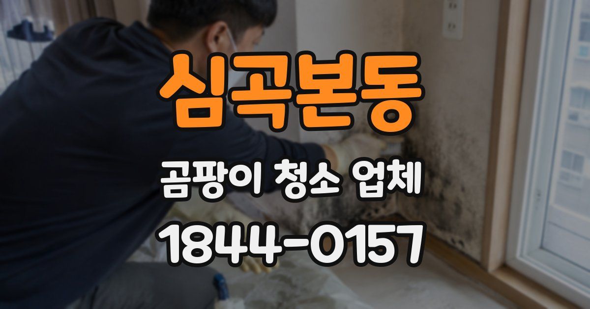 심곡본동 곰팡이 청소 업체