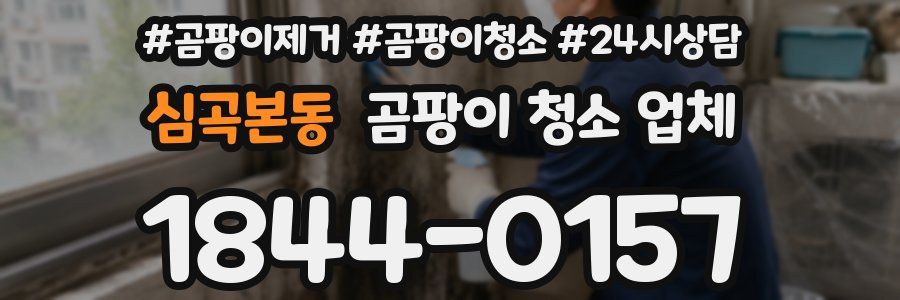 심곡본동 곰팡이 청소 업체