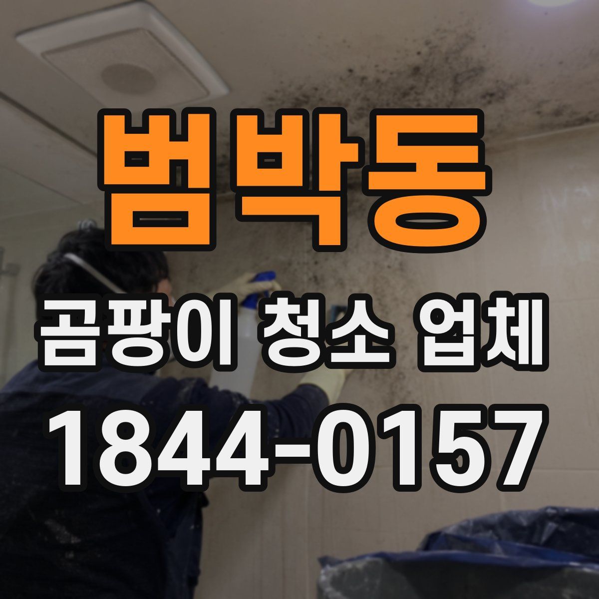 범박동 곰팡이 청소 업체