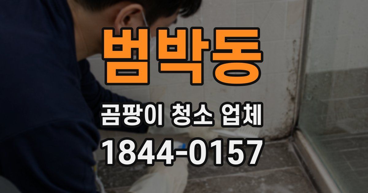 범박동 곰팡이 청소 업체