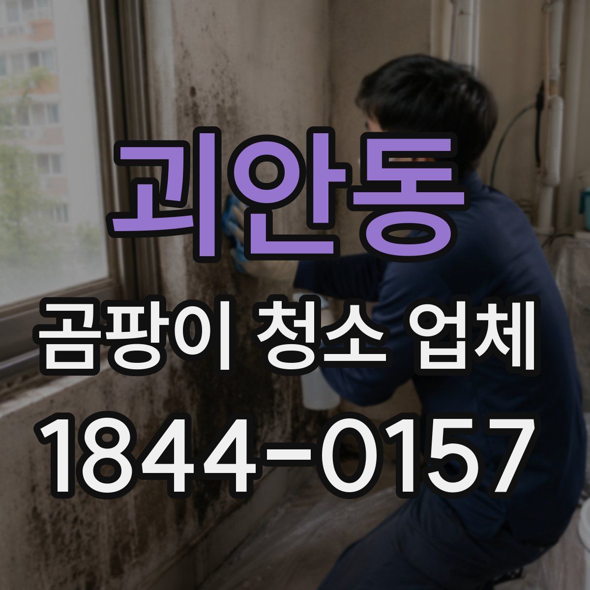 괴안동 곰팡이 청소 업체
