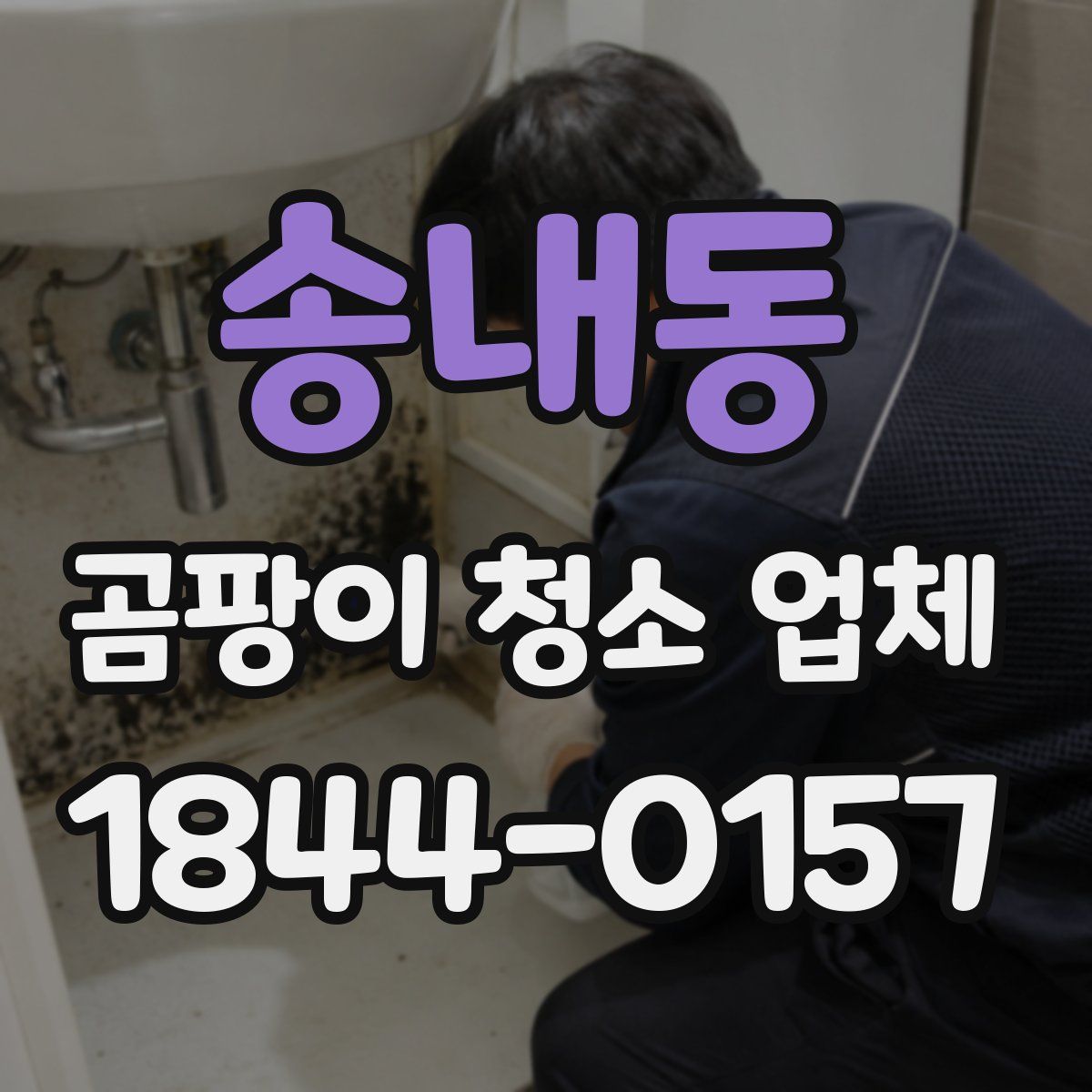 송내동 곰팡이 청소 업체