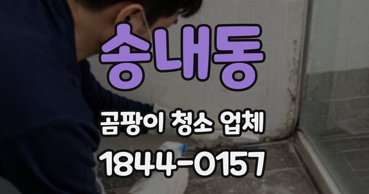 송내동 곰팡이 청소 업체