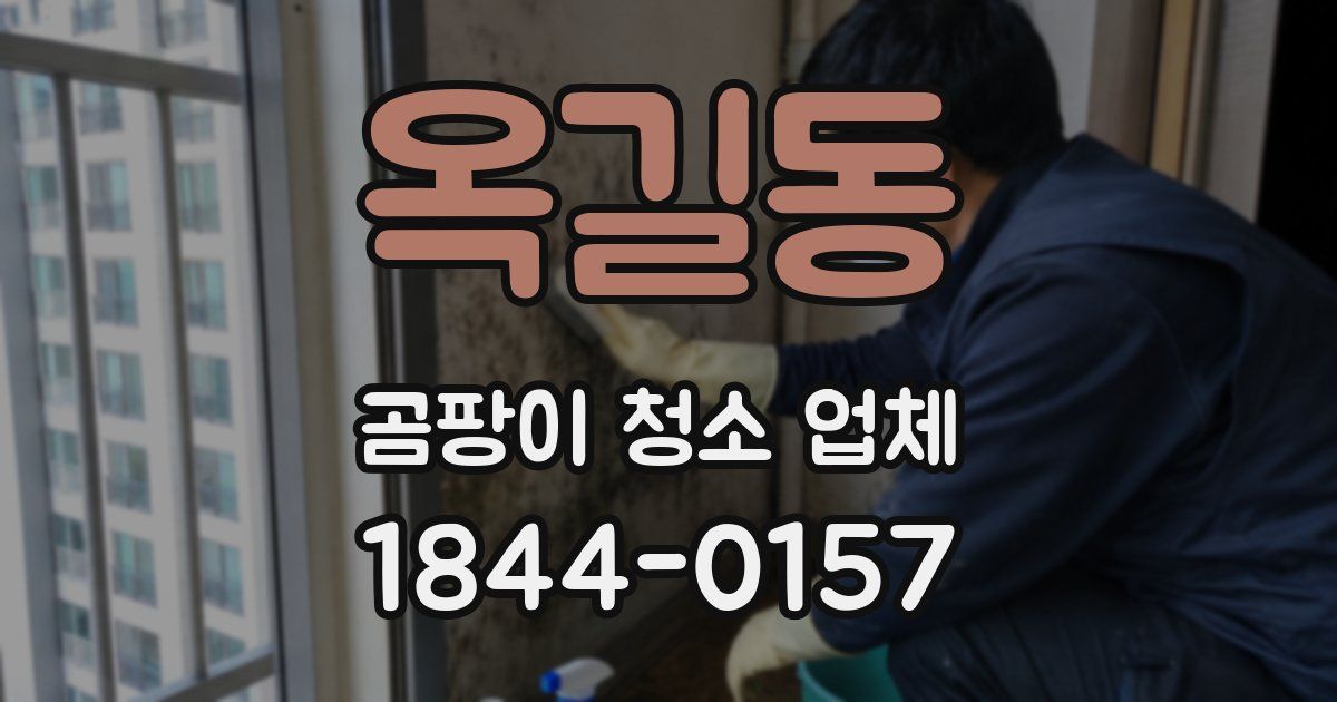 옥길동 곰팡이 청소 업체