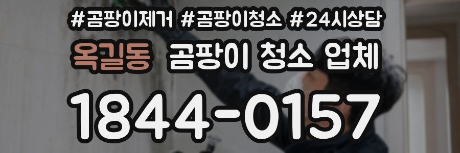 옥길동 곰팡이 청소 업체