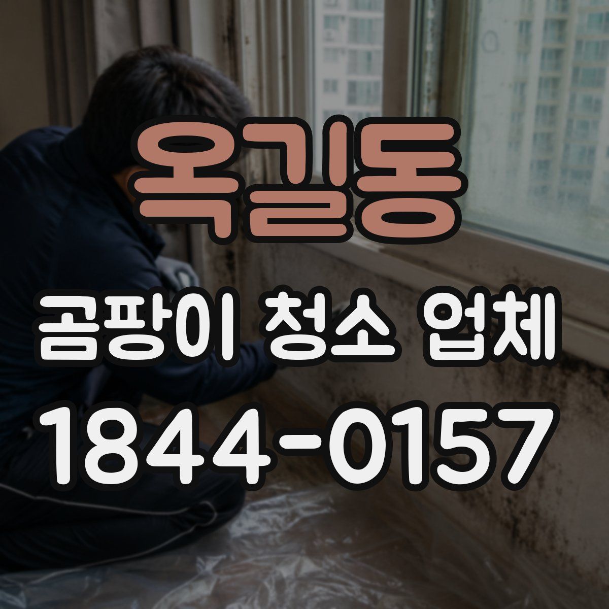 옥길동 곰팡이 청소 업체
