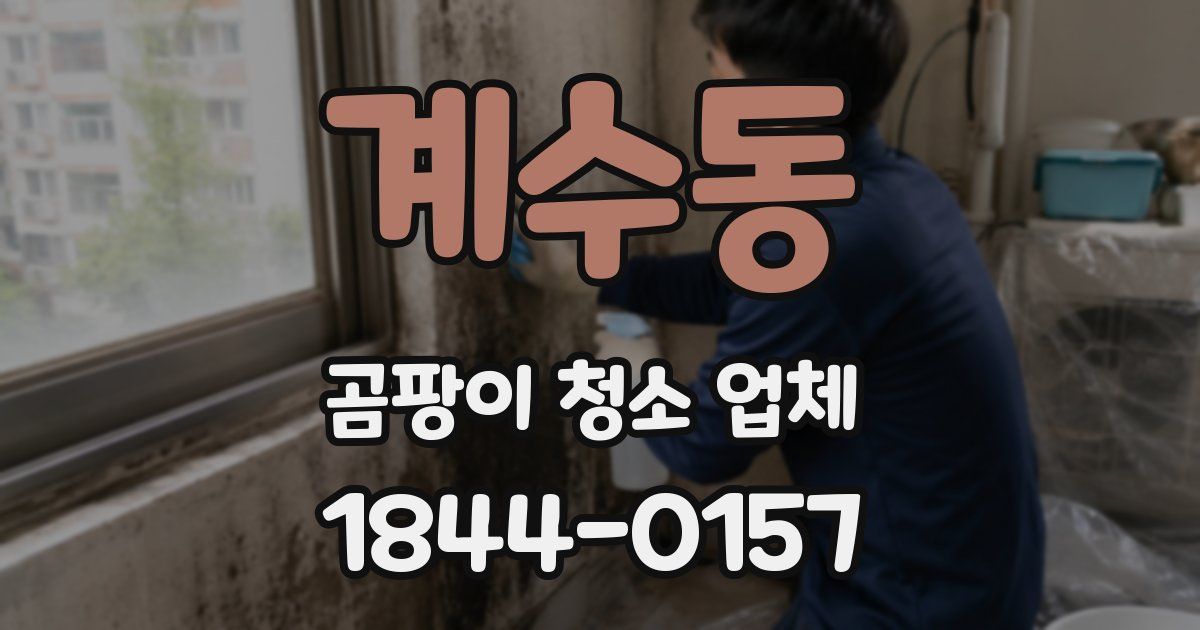 계수동 곰팡이 청소 업체