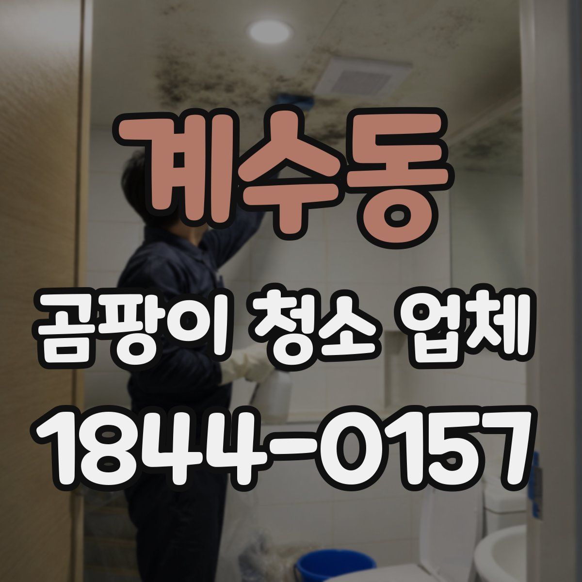 계수동 곰팡이 청소 업체
