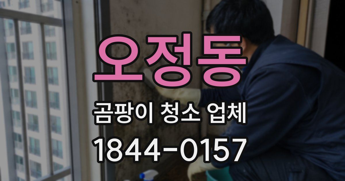 오정동 곰팡이 청소 업체