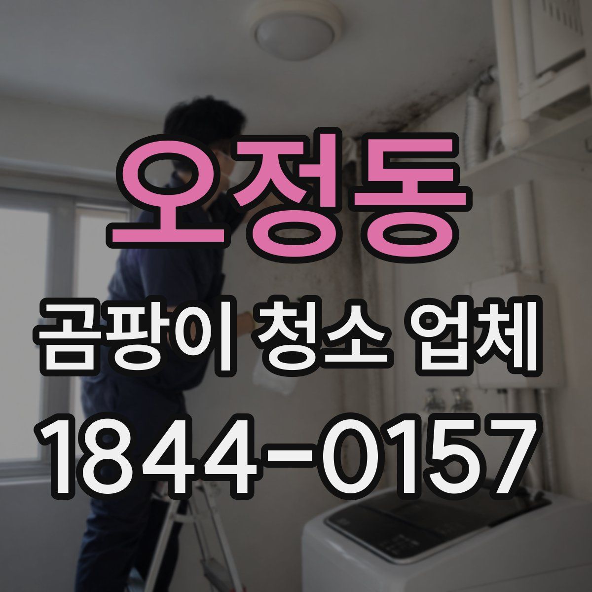 오정동 곰팡이 청소 업체