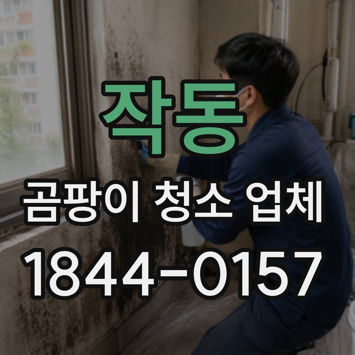 작동 곰팡이 청소 업체 습기 많은 주방에서 자주 생기는 문제