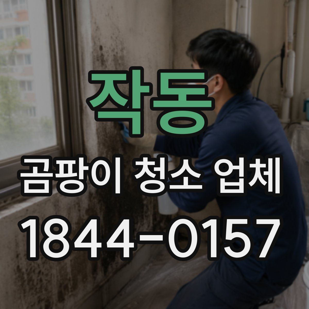 작동 곰팡이 청소 업체