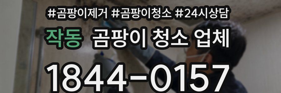 작동 곰팡이 청소 업체