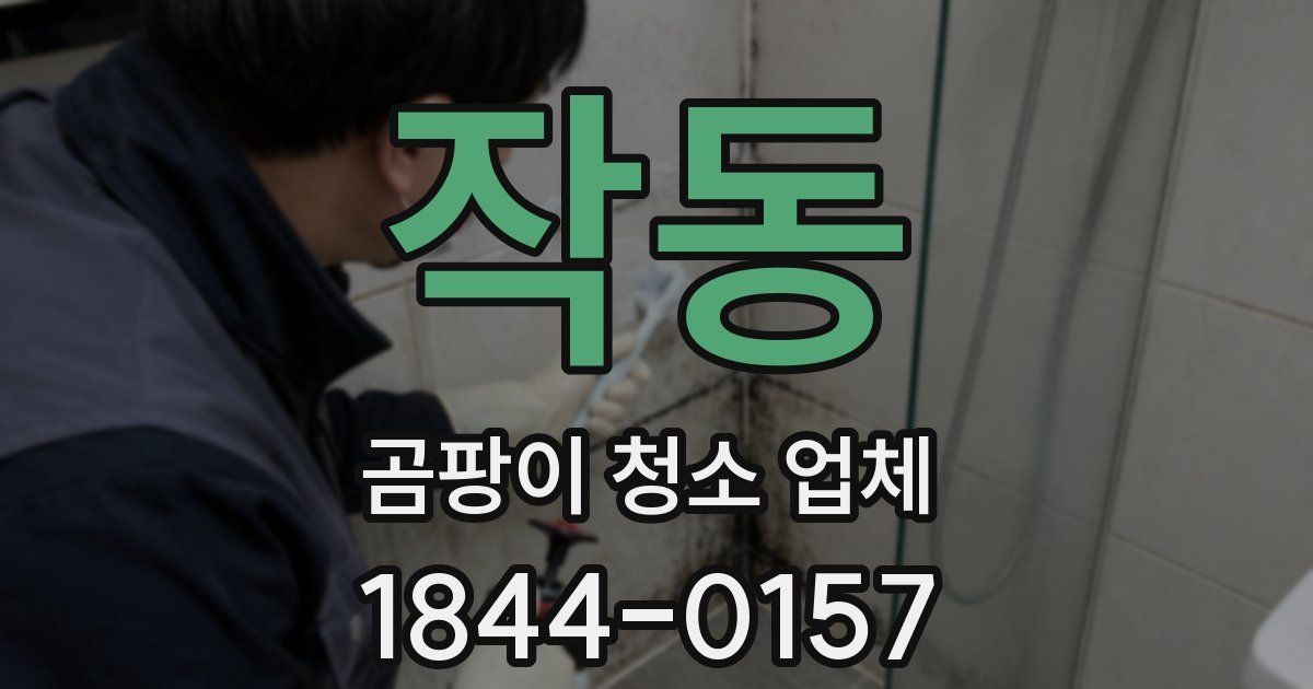 작동 곰팡이 청소 업체