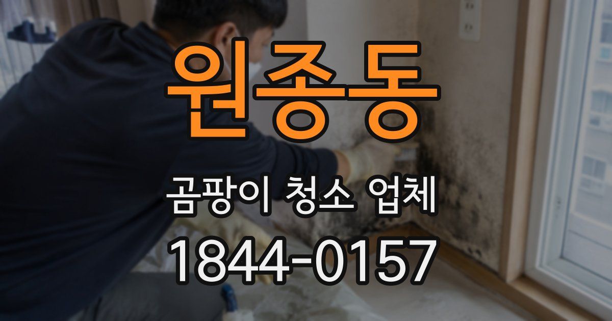 원종동 곰팡이 청소 업체
