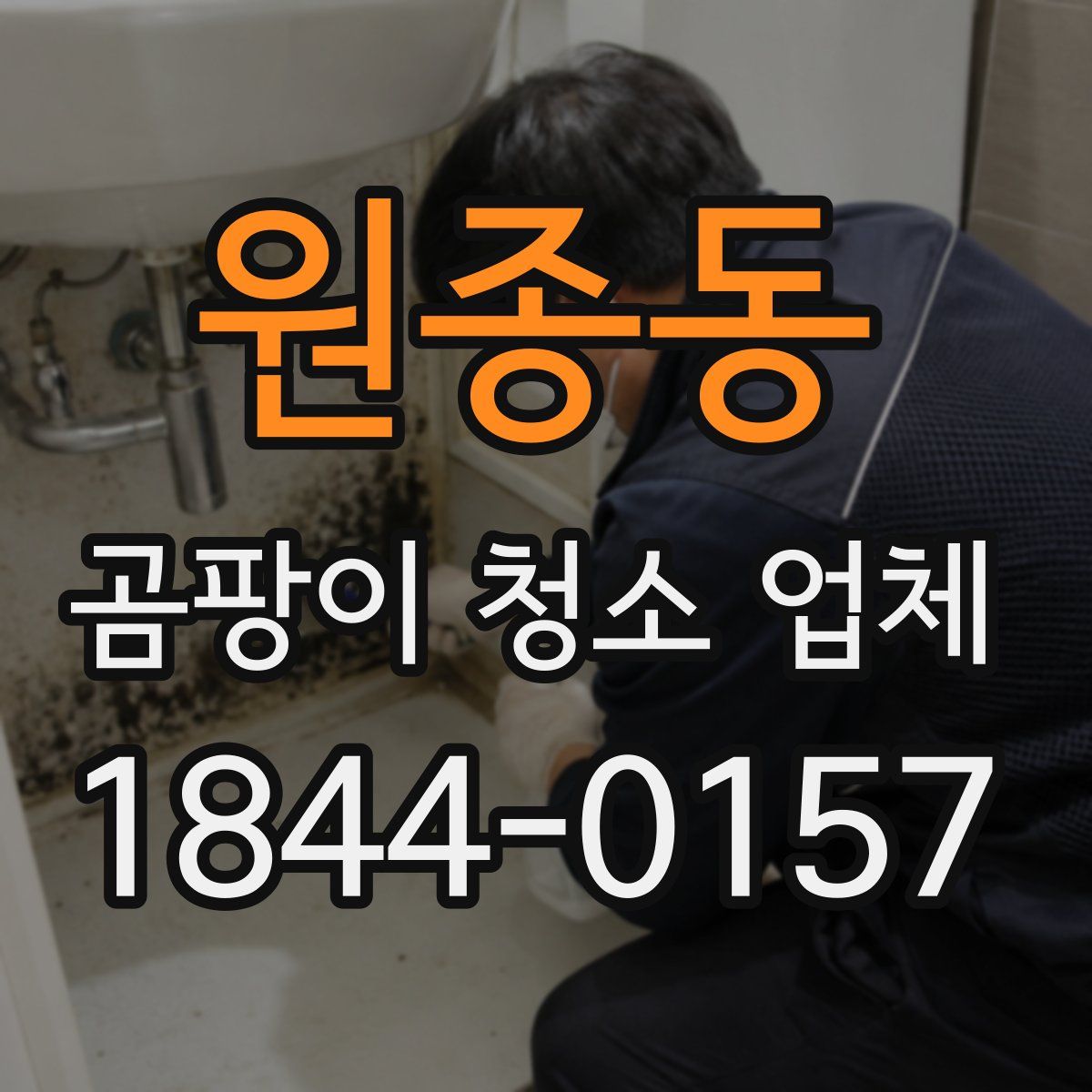 원종동 곰팡이 청소 업체