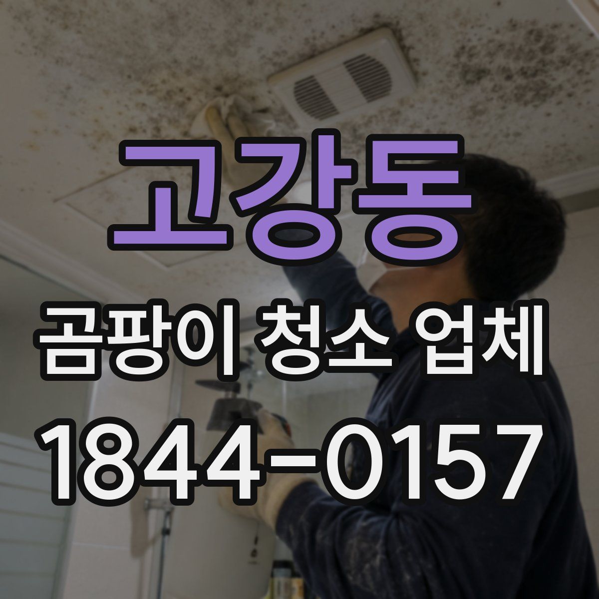 고강동 곰팡이 청소 업체